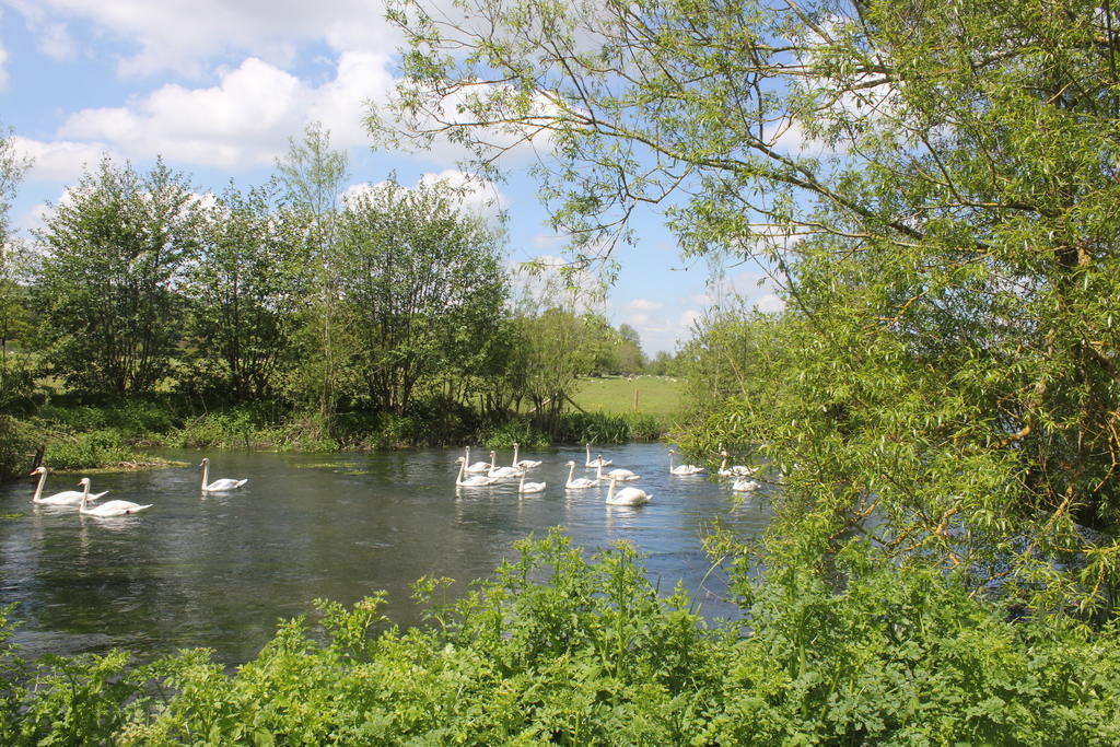 The Swan At Stoford Hotel Stapleford  ภายนอก รูปภาพ
