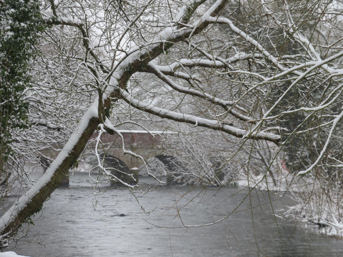The Swan At Stoford Hotel Stapleford  ภายนอก รูปภาพ